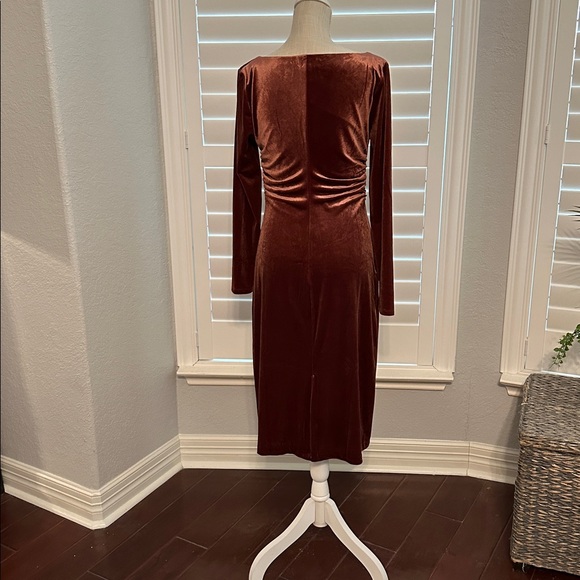 NWT Banana Republic Long Sleeve Cherry Jam Velvet Dress, Size M. - Picture 4 of 10